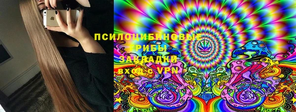 PSILOCYBIN Балахна