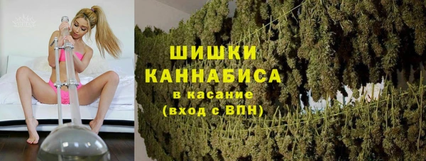 PSILOCYBIN Балахна