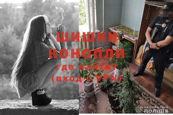 PSILOCYBIN Балахна