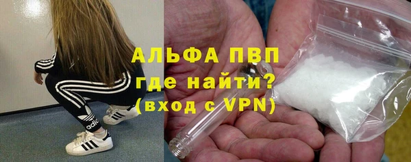 PSILOCYBIN Балахна