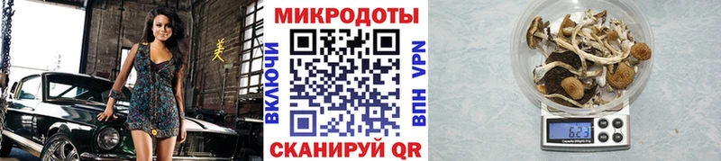 Галлюциногенные грибы мицелий  Ессентуки 