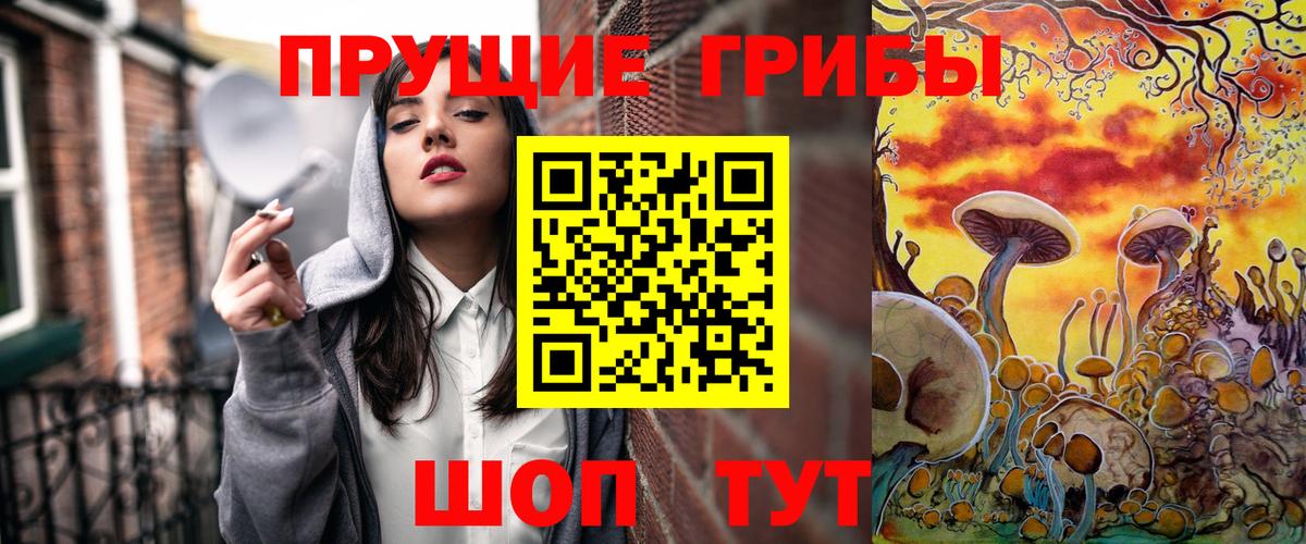 Псилоцибиновые грибы Psilocybe  Вход с VPN  Псилоцибиновые грибы прущие грибы  Ессентуки 