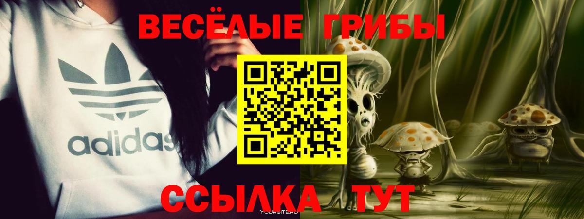 Псилоцибиновые грибы Cubensis Ессентуки