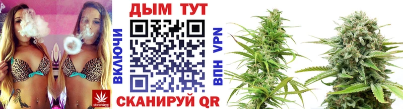 Канабис MAZAR Ессентуки